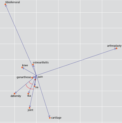 Word Embedding Neural Networks to Advance Knee Osteoarthritis Research